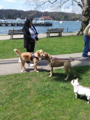 Northport Park