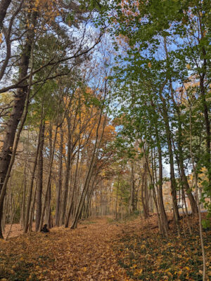 Northport Rail Trail Entrance