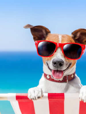 PetPort