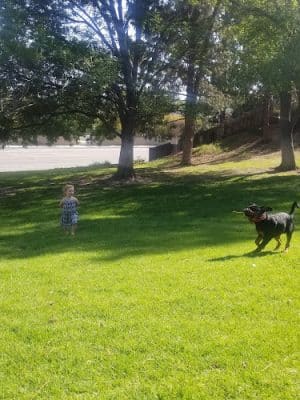 Porter Ridge Park