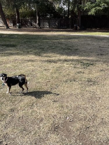 Dearborn Park