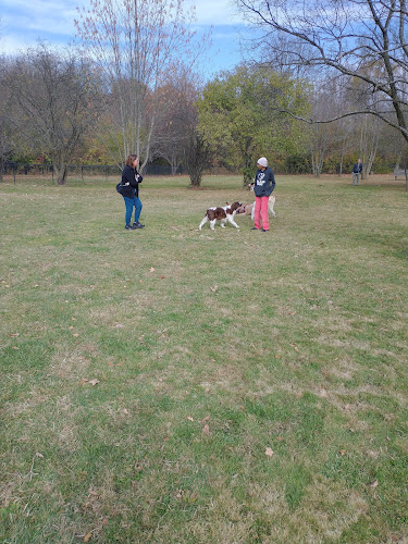 Northville Dog Park