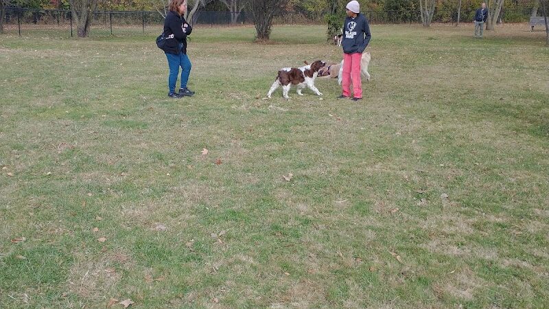Northville Dog Park - Northville Township, MI