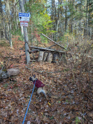 Crane Farm Preserve