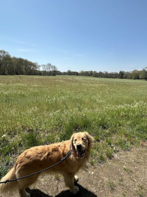 Erwin S. Wilder Wildlife Management Area
