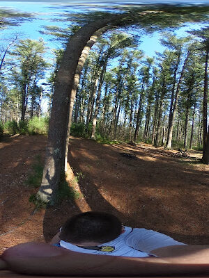 Henrich Woods