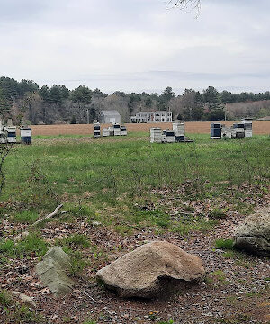 Donovan Wildcat Trails Parking