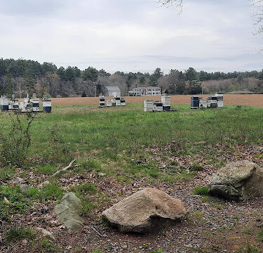 Donovan Wildcat Trails Parking