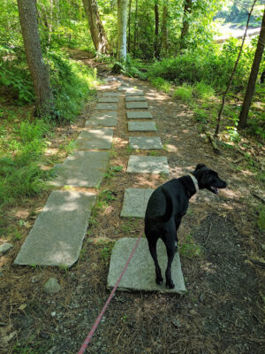 Norris Reservation
