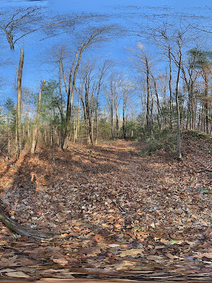 Wompatuck State Park - Grove Street Access