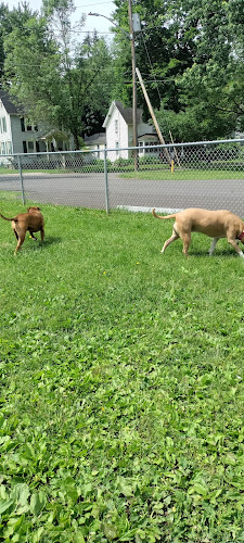 Baker Dog Park