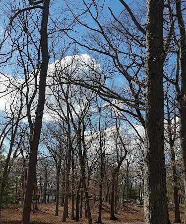 Shattuck Park - Norwood, MA