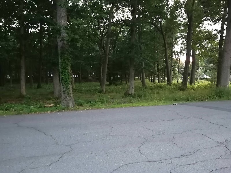 Shattuck Park - Norwood, MA
