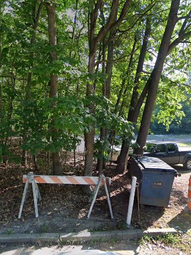 Norwood Dog Park