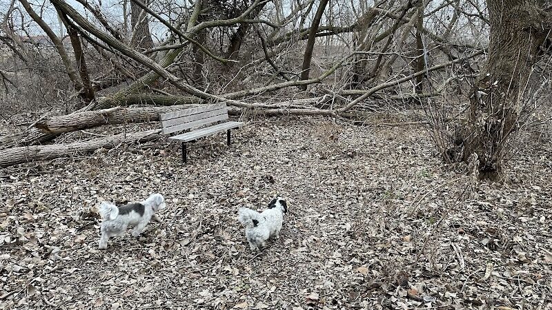 Adell Bridge and Walking Trail - Novi, MI