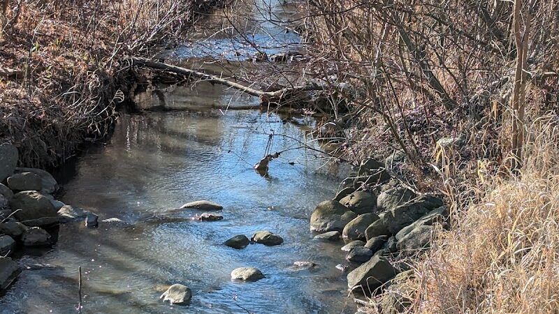 Brookfarm Park - Novi, MI