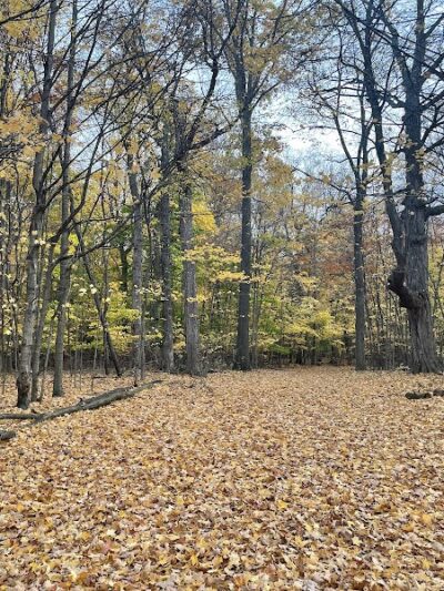 Ella Mae Power Park - Novi, MI