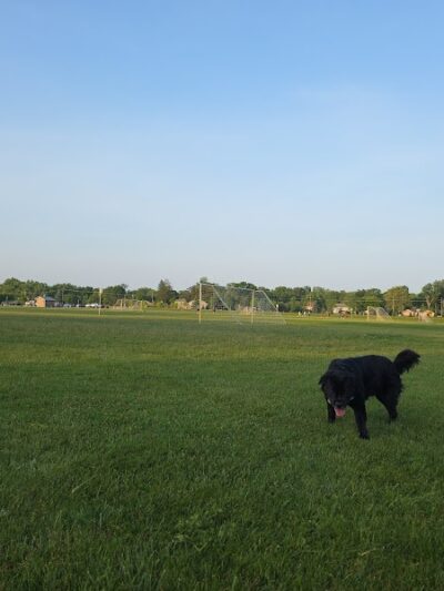 Ella Mae Power Park - Novi, MI