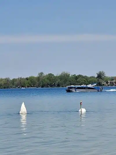 Lakeshore Park - Novi, MI