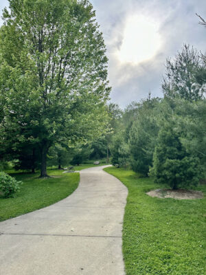 Brookfarm Park