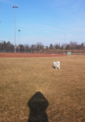 Ella Mae Power Park
