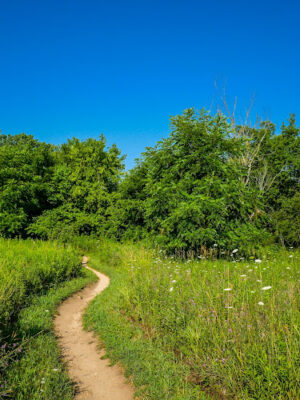 Lakeshore MTB Trailhead (North)