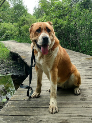 Lakeshore Park
