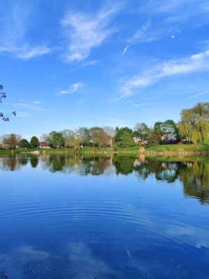 Village Wood Lake Park