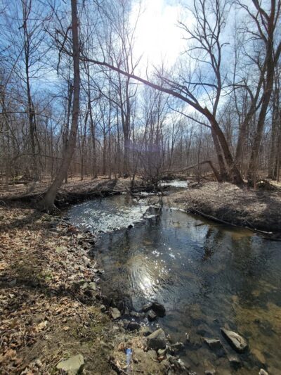 Orchard Hills West Park - Novi, MI