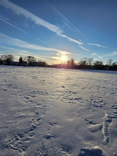 Scenic Overlook #2 - Novi, MI