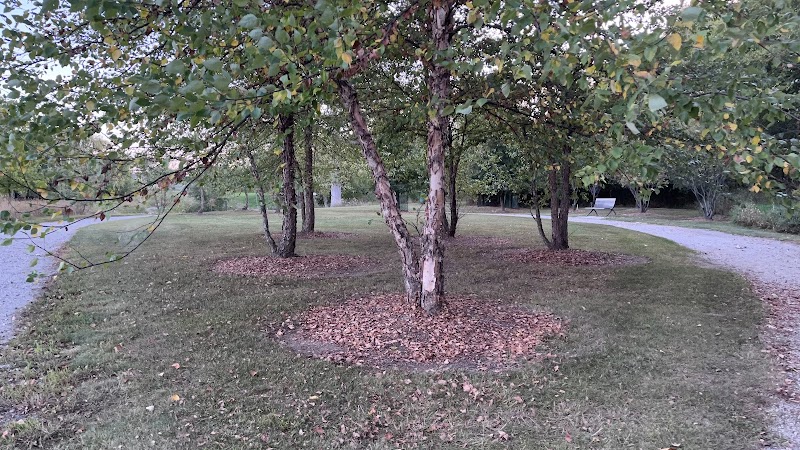 Village Wood Lake Park - Novi, MI