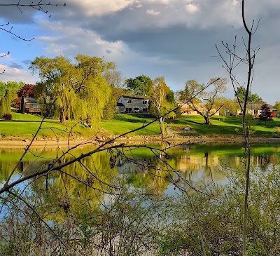 Village Wood Lake Park - Novi, MI