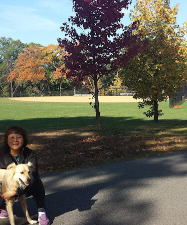 Yanticaw Park