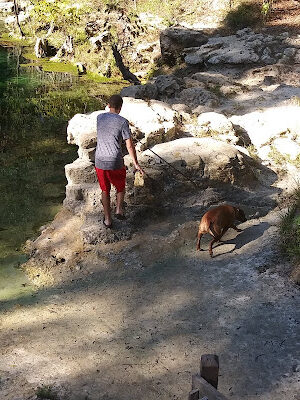 Royal Springs Suwannee River Wilderness Trail