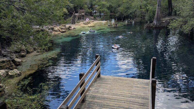 Royal Springs Suwannee River Wilderness Trail - O'Brien, FL