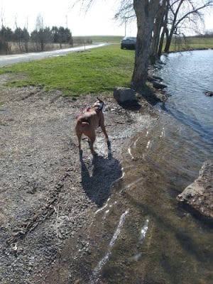 Caraway Lake