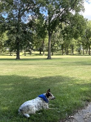 Frick Park