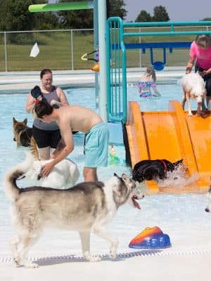 Oak Grove Parks & Recreation
