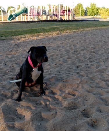 Webb Park