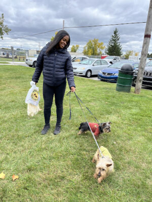 Oak Park & Bark - Dog Park (Membership required)