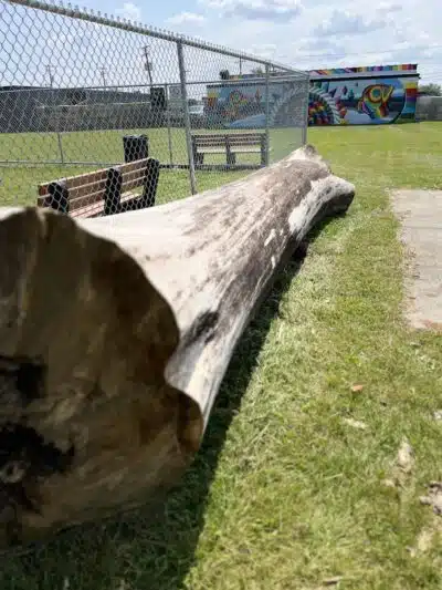 Oak Park & Bark - Dog Park (Membership required) - Oak Park, MI