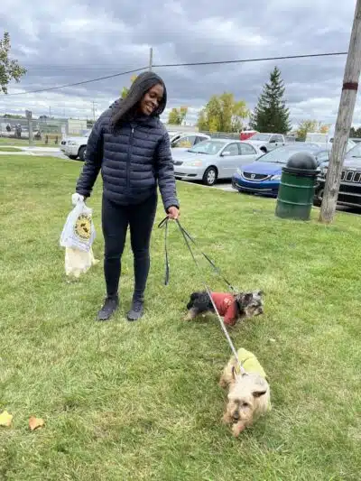 Oak Park & Bark - Dog Park (Membership required) - Oak Park, MI