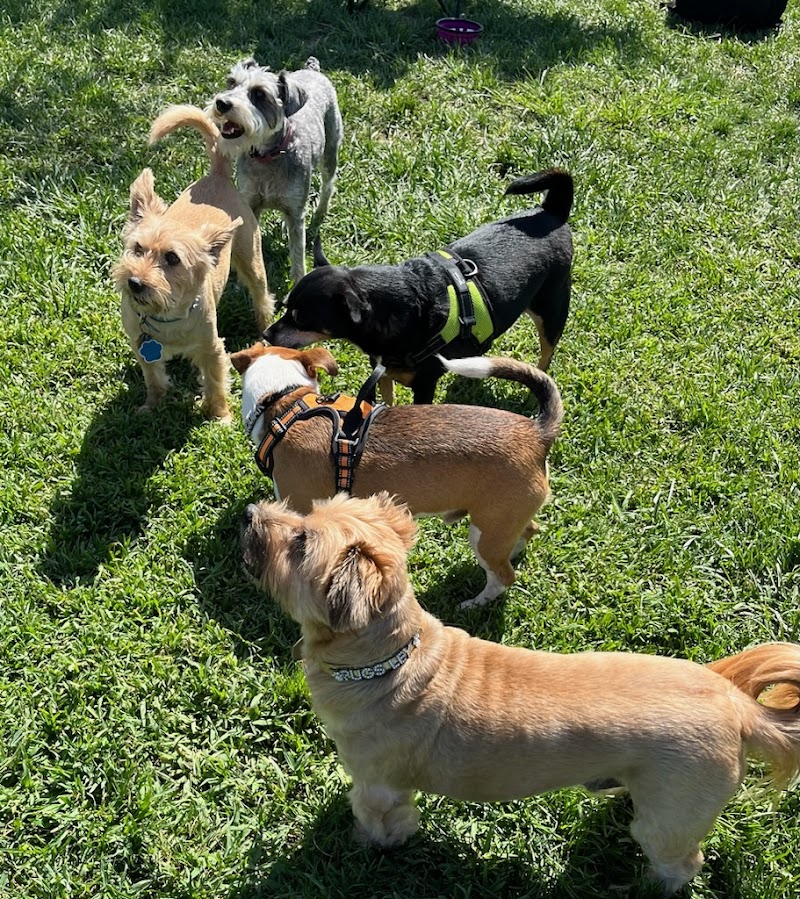 Oakdale Dog Park - Oakdale, CA