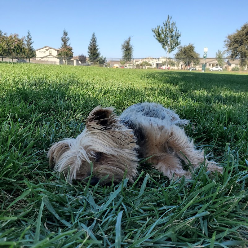 Oakdale Dog Park - Oakdale, CA
