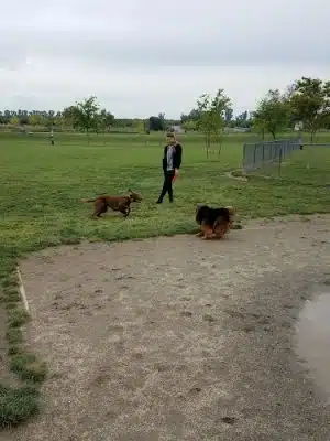 Oakdale Dog Park - Oakdale, CA