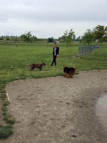 Oakdale Dog Park - Oakdale, CA