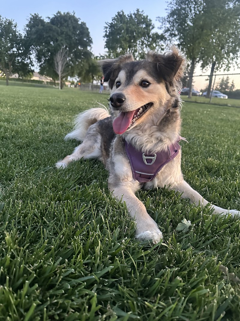 Oakdale Dog Park - Oakdale, CA