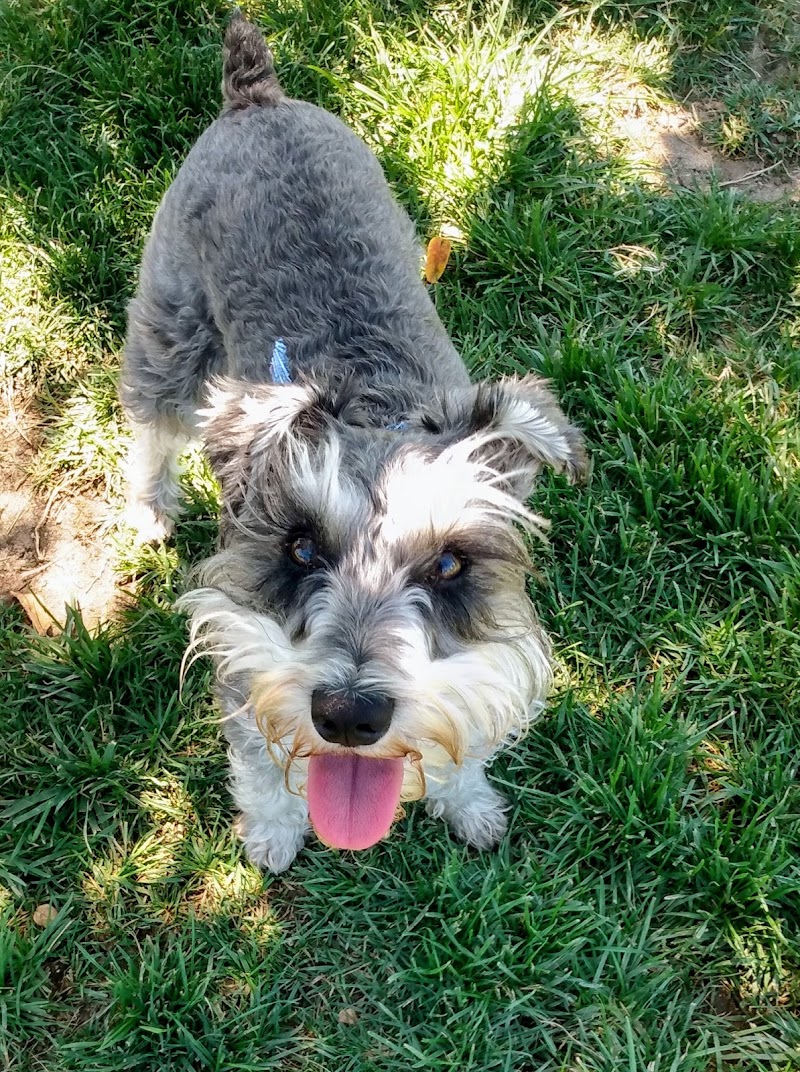 Oakdale Dog Park - Oakdale, CA