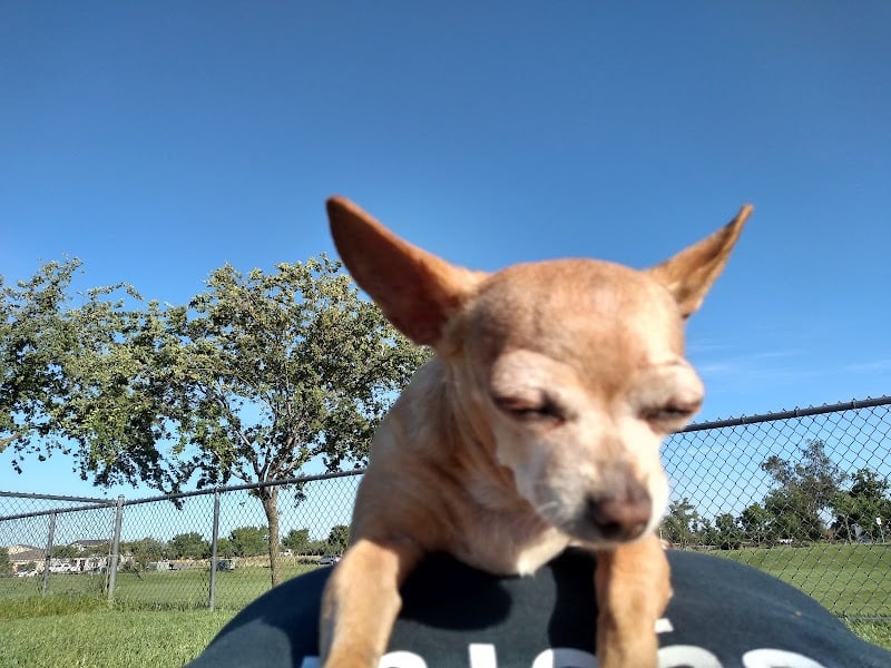 Oakdale Dog Park - Oakdale, CA