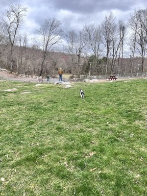 Montville Dog Park